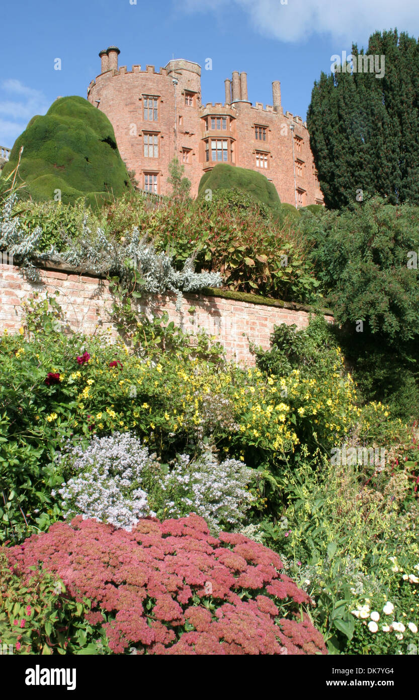 Jardins en terrasse Château de Powis NT Welshpool Powys Pays de Galles UK Banque D'Images