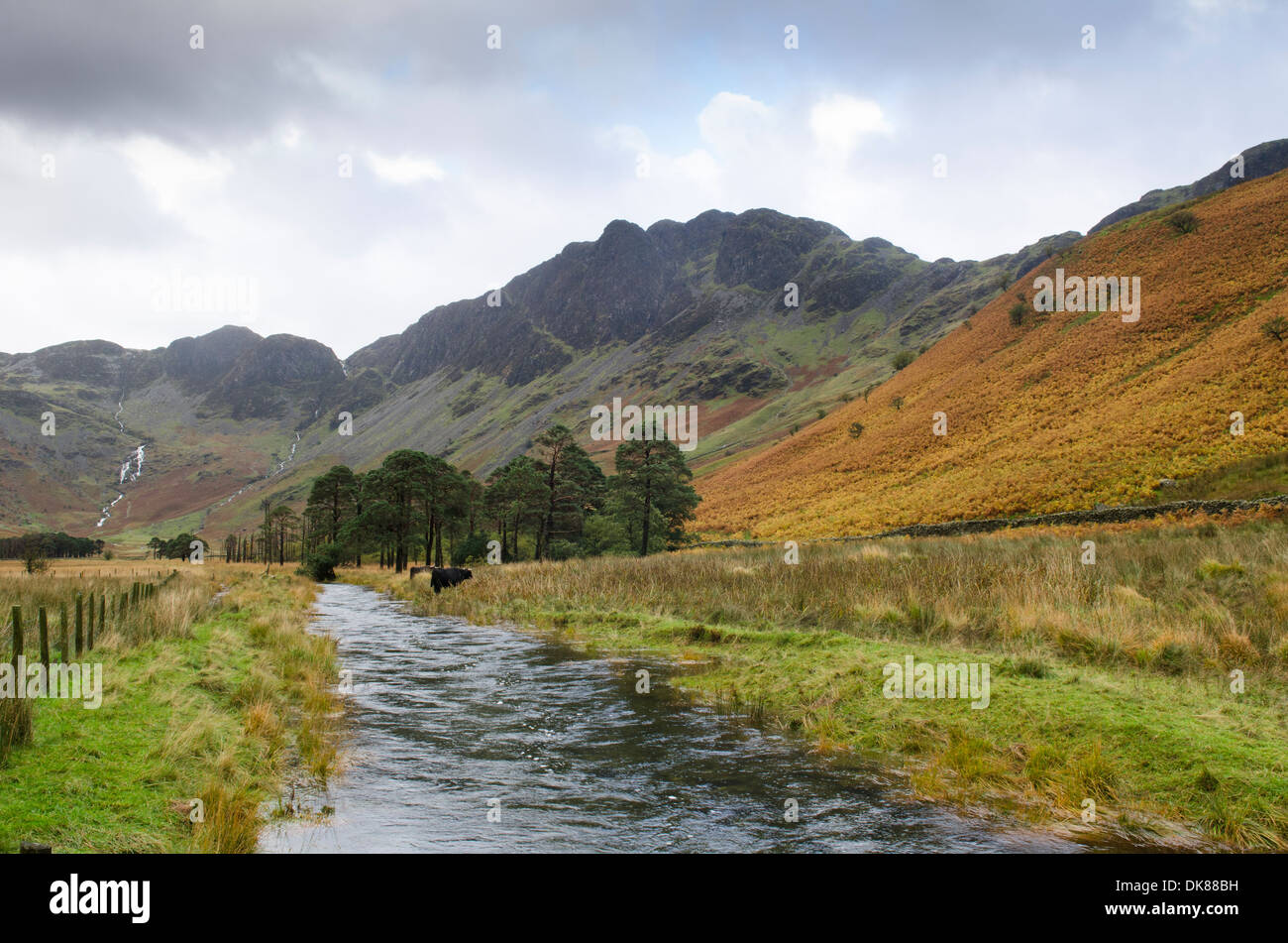 Voir à l'est du bord de la lande le long Warnscale Beck de meules de foin. Le Lake District, Cumbria, Royaume-Uni. Octobre. Banque D'Images