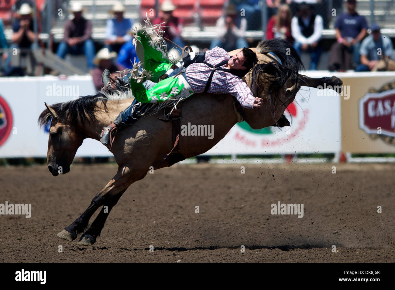 24 juillet 2011 - Salinas, Californie, États-Unis - Caleb Bennett de Morgan, au cours de l'agression en UT rond court au California Rodeo Salinas à Salinas, CA. (Crédit Image : © Matt Cohen/ZUMAPRESS.com) Southcreek/mondial Banque D'Images