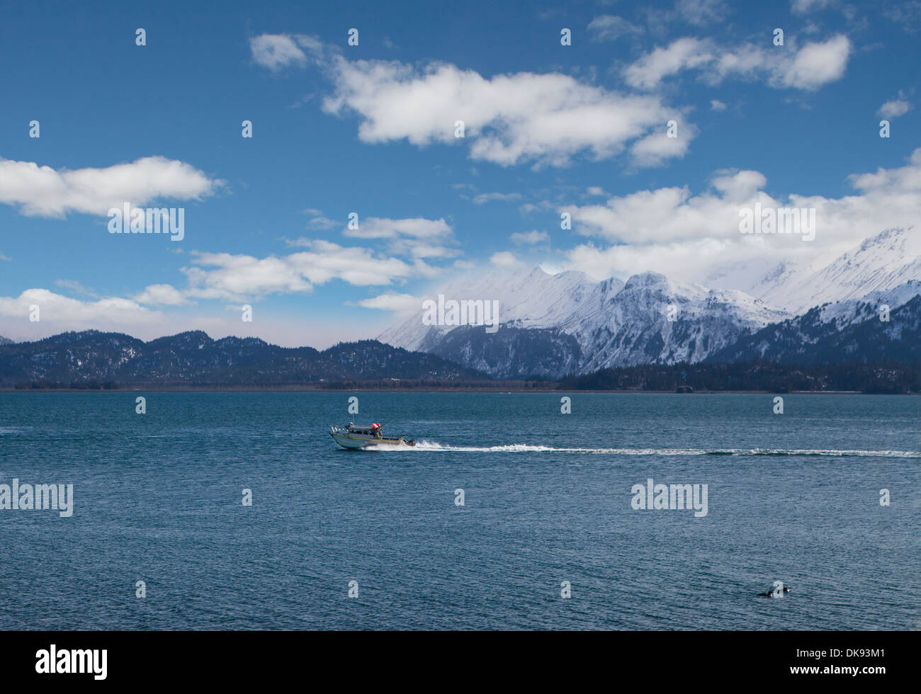 Petit bateau de pêche entrant dans la Kachemak Bay près de Homer en Alaska sur une journée ensoleillée. Banque D'Images