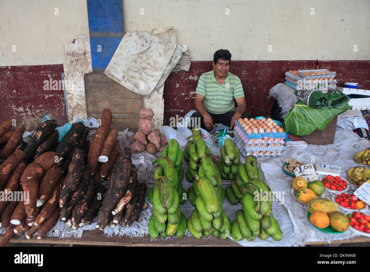 République des Fidji Banque D'Images