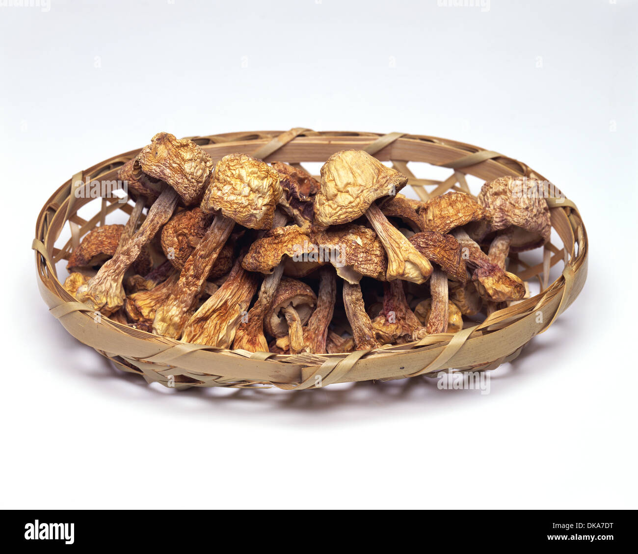 Séchage des champignons Banque de photographies et d’images à haute résolution Alamy