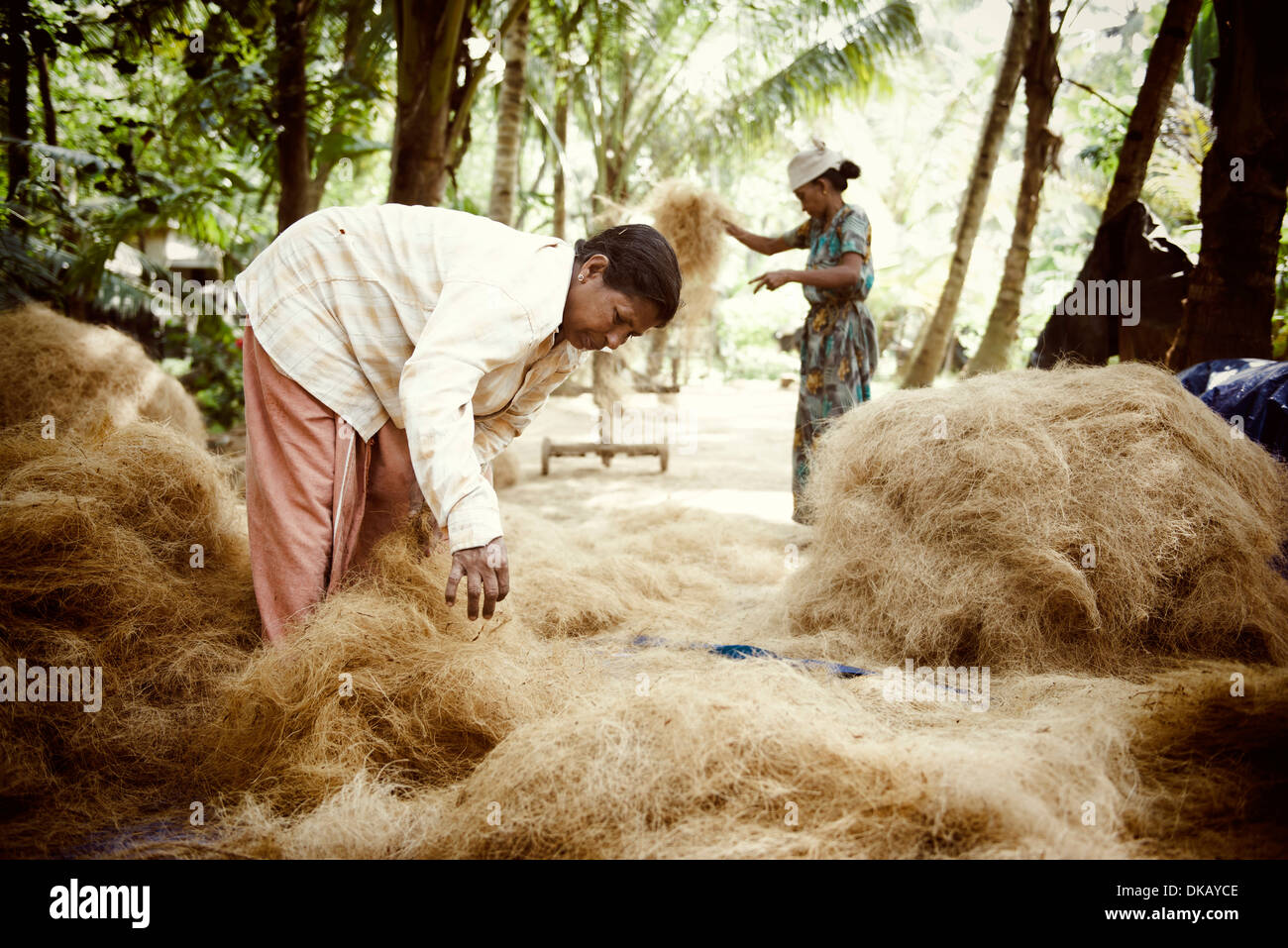 Fabrication de cordes à partir de fibres de noix de coco. Munroe Island. Le lac Ashtamudi, Kollam, Inde Banque D'Images