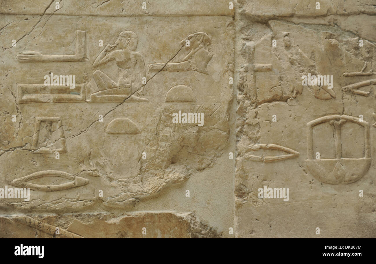 Relief représentant hiéroglyphe. Le grès. Nouveau Royaume. 18ème dynastie. 1479-1458 BC. Temple d'Hatchepsout. Deir el-Bahari. L'Égypte. Banque D'Images