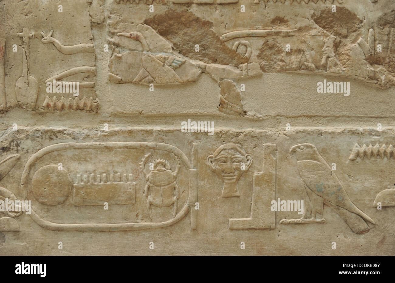 Relief représentant hiéroglyphe. Le grès. Nouveau Royaume. 18ème dynastie. 1479-1458 BC. Temple d'Hatchepsout. Deir el-Bahari. L'Égypte. Banque D'Images