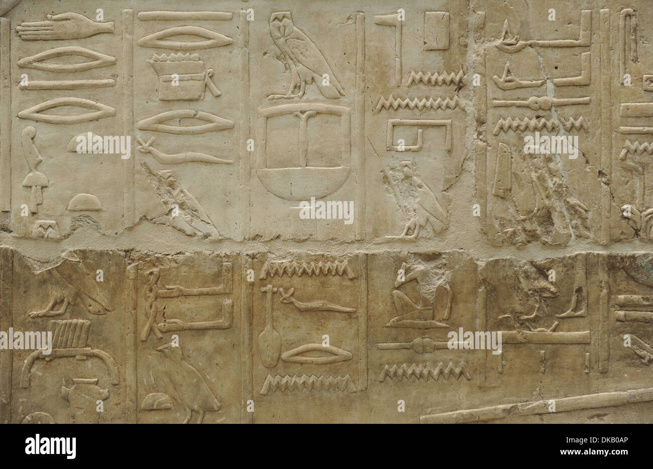 Relief représentant hiéroglyphe. Le grès. Nouveau Royaume. 18ème dynastie. 1479-1458 BC. Temple d'Hatchepsout. Deir el-Bahari. L'Égypte. Banque D'Images