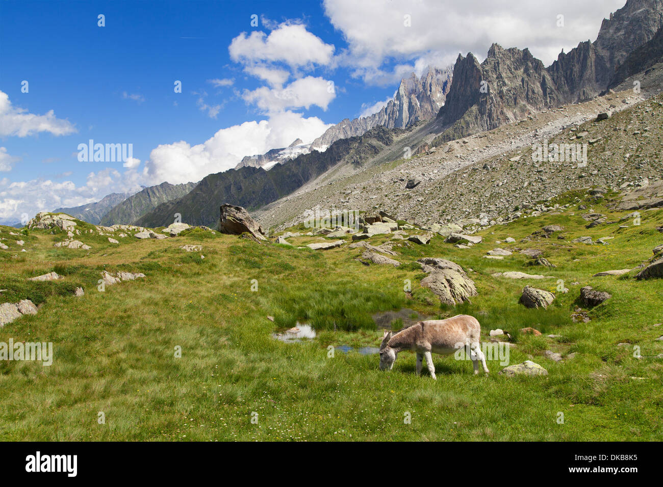 Aiguille du plan et les Aiguilles de Chamonix, Chamonix-Mont-Blanc, France. Banque D'Images