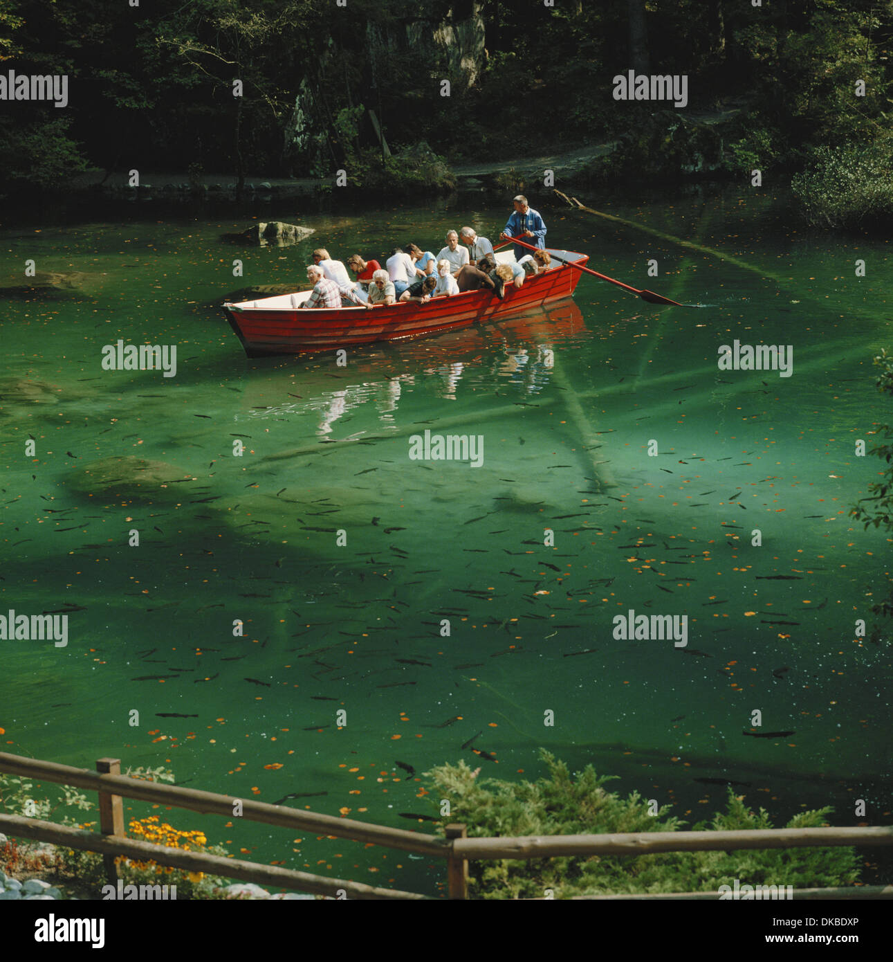 Les touristes à la recherche de poisson dans l'eau vert bleu clair d'Blaussee lake Kandersteg Suisse Banque D'Images