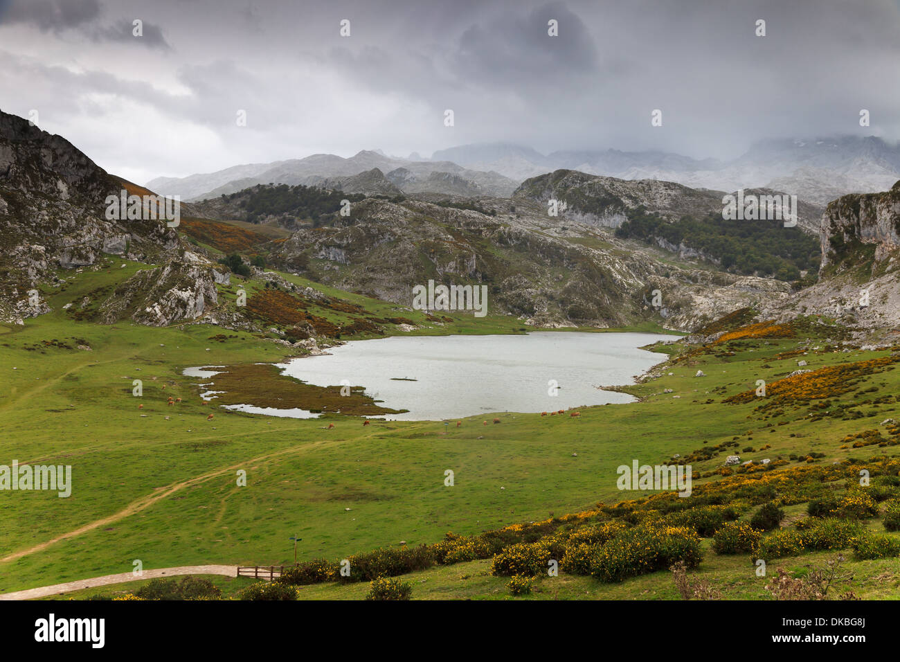 Lac Ercina fantastique, l'un des célèbres Lacs de Covadonga, dans les Asturies , Espagne Banque D'Images