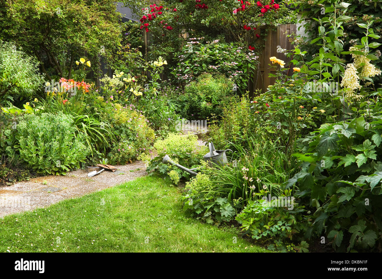 Arrosoir et outils de jardin en fleurs pour le nettoyage sur le jardin de style cottage matin d'été - horizontal Banque D'Images