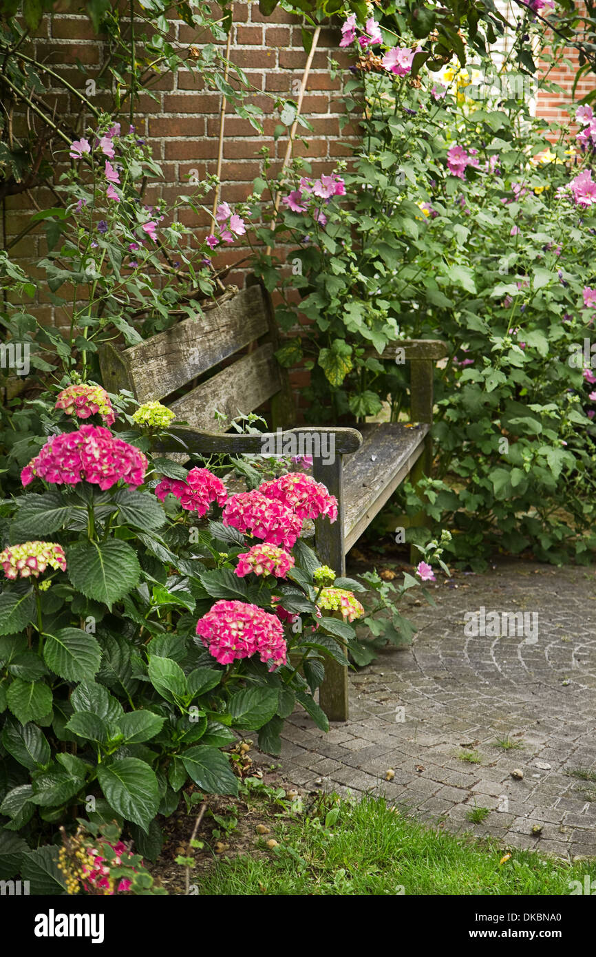 Jardin de style rustique avec banc et beaucoup de fleurs en été Banque D'Images