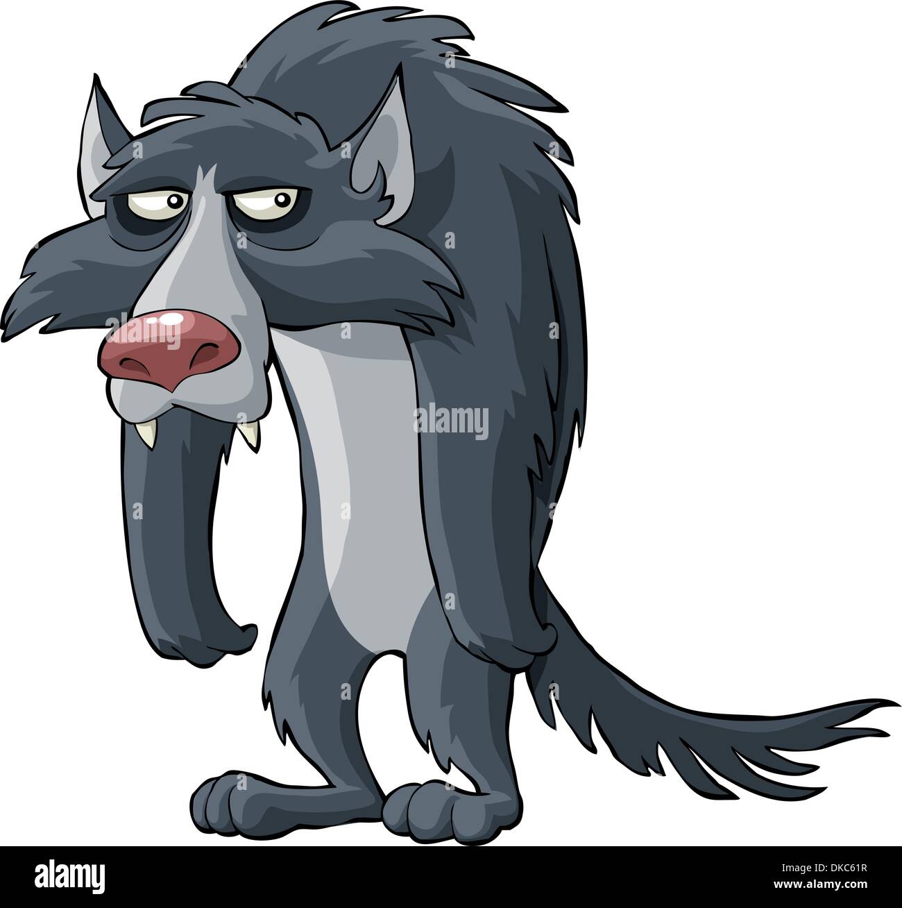 Loup gris sur fond blanc vector illustration Illustration de Vecteur