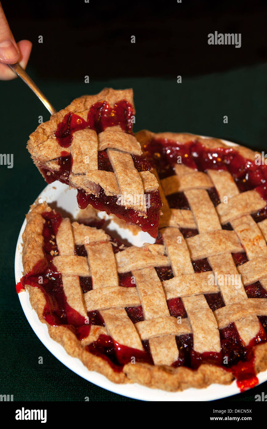 Cherry Pie avec croûte treillis Banque D'Images