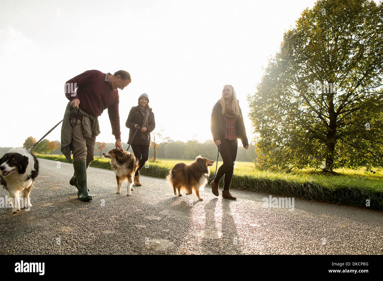 Couple et petite-fille de chiens, Norfolk, UK Banque D'Images