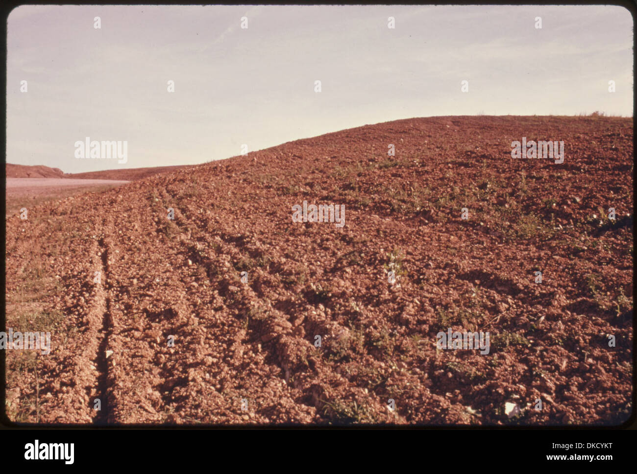 Cette terre remaniée dans le sud-est de l'Ohio a été fertilisée et ensemencée par des compagnies de charbon après avoir été exploitée à ciel ouvert. Le terrain a été restauré pour favoriser la croissance de la végétation et améliorer le rétablissement écologique de la région. Banque D'Images