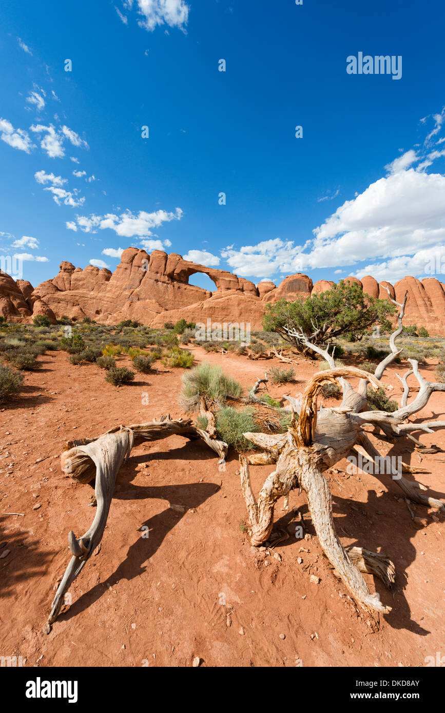 Skyline Arch, Arches National Park, Utah, USA Banque D'Images