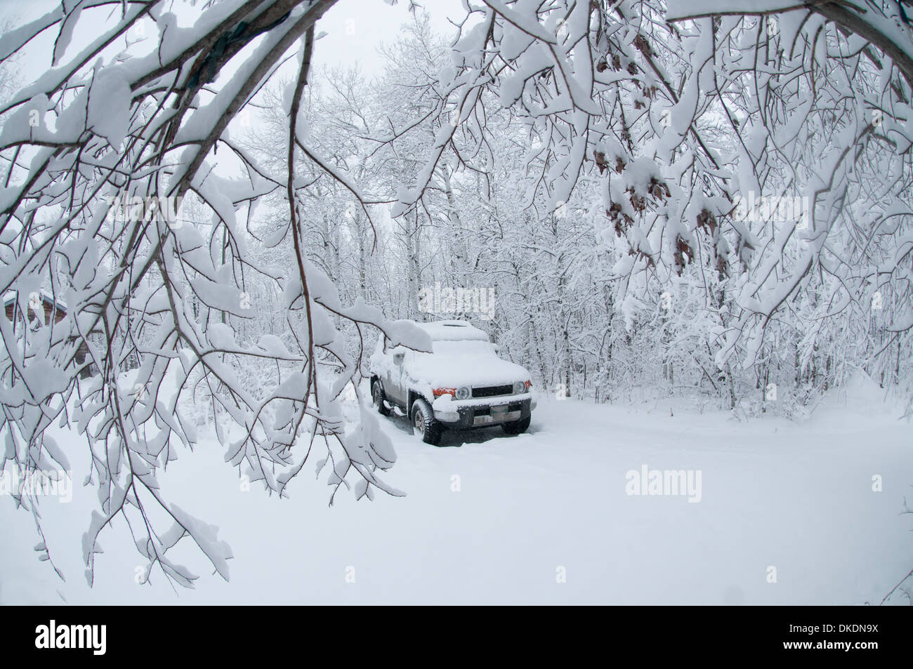 Un parking couvert de neige est assis sous un dais d'arbres couverts de neige après un blizzard Banque D'Images