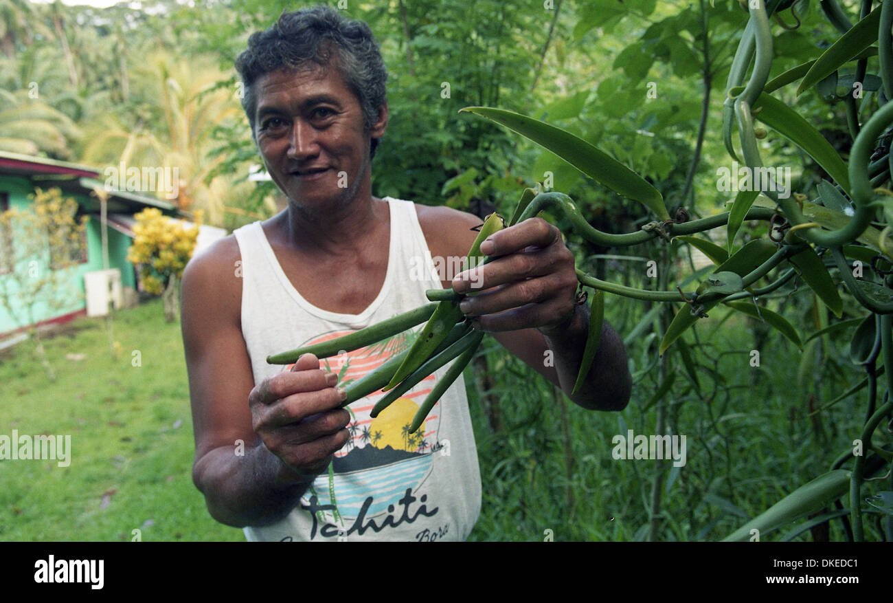 Producteur de vanille Banque D'Images