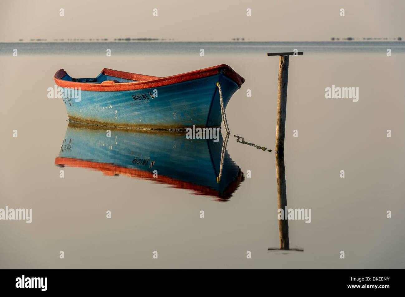 Petit bateau tôt le matin dans le marais de Camargue (sud de la France) Banque D'Images