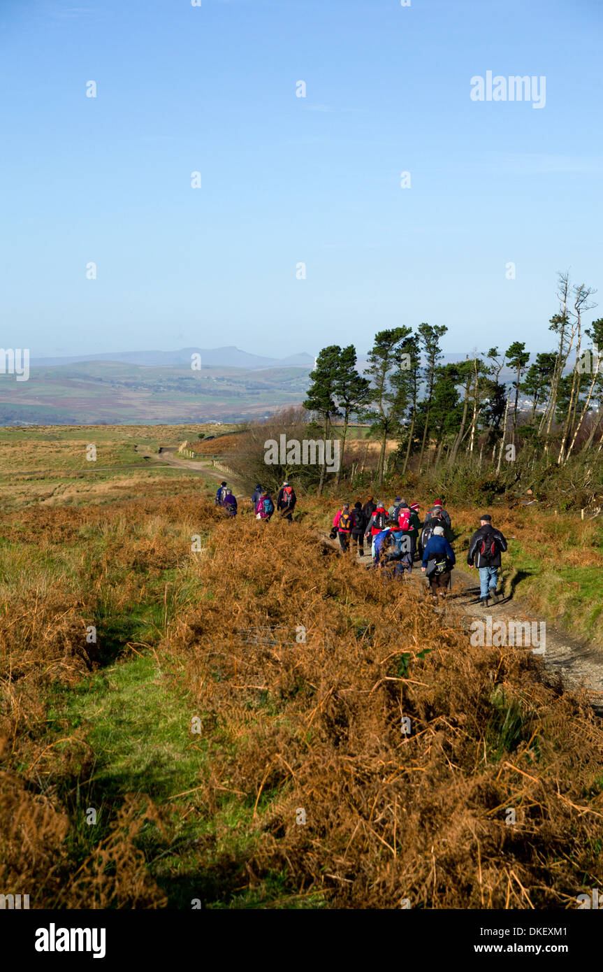 Groupe de randonneurs sur Rymney Valley Ridgeway Mynydd Sentier que prône Grug Y au-dessus de la vallée de Lincolnshire, Gwent, Galles du Sud. Banque D'Images