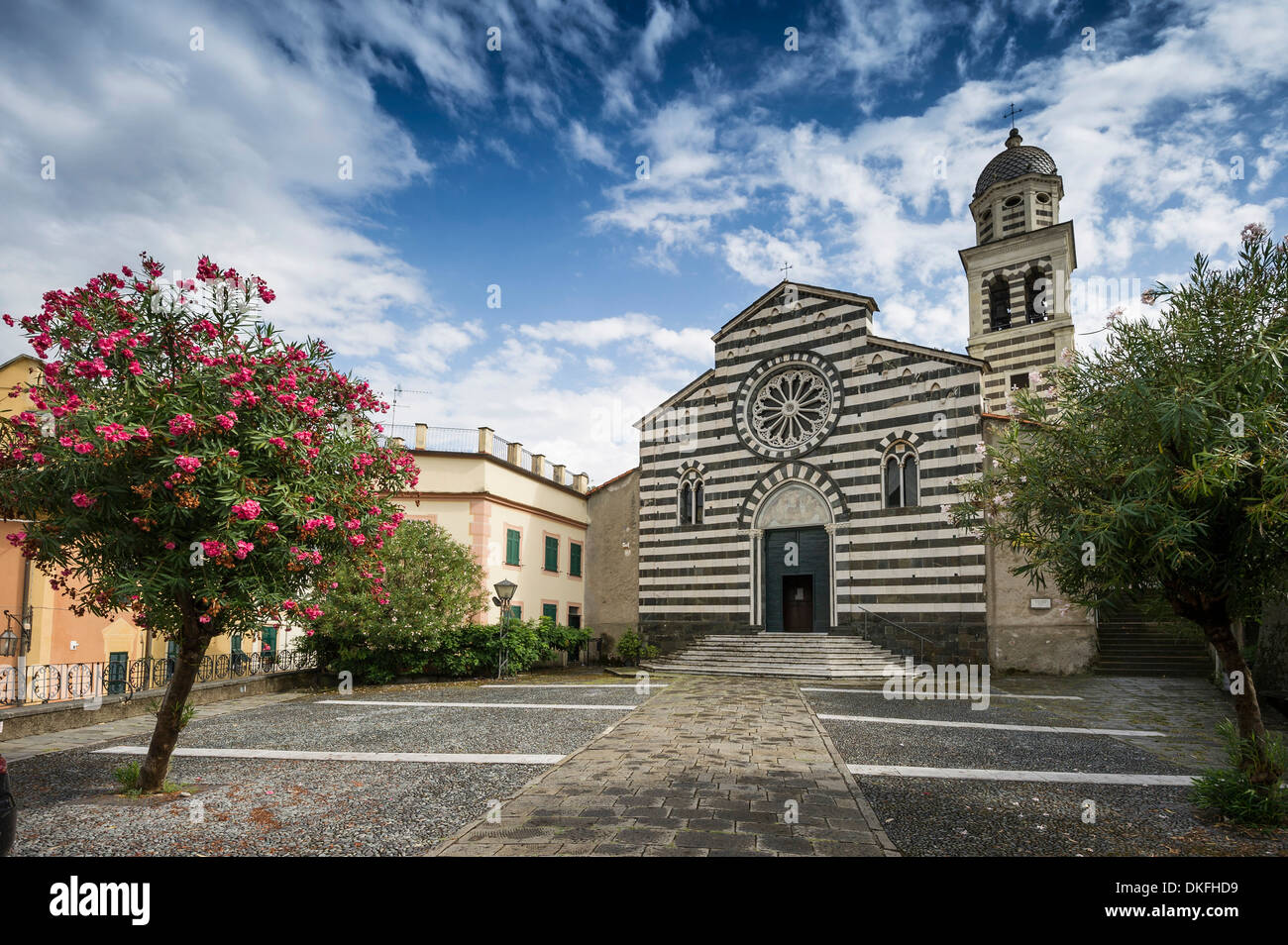 Eglise de Sant'Andrea, oleander arbres devant, Levanto, Riviera di Levante, Province de La Spezia, ligurie, italie Banque D'Images