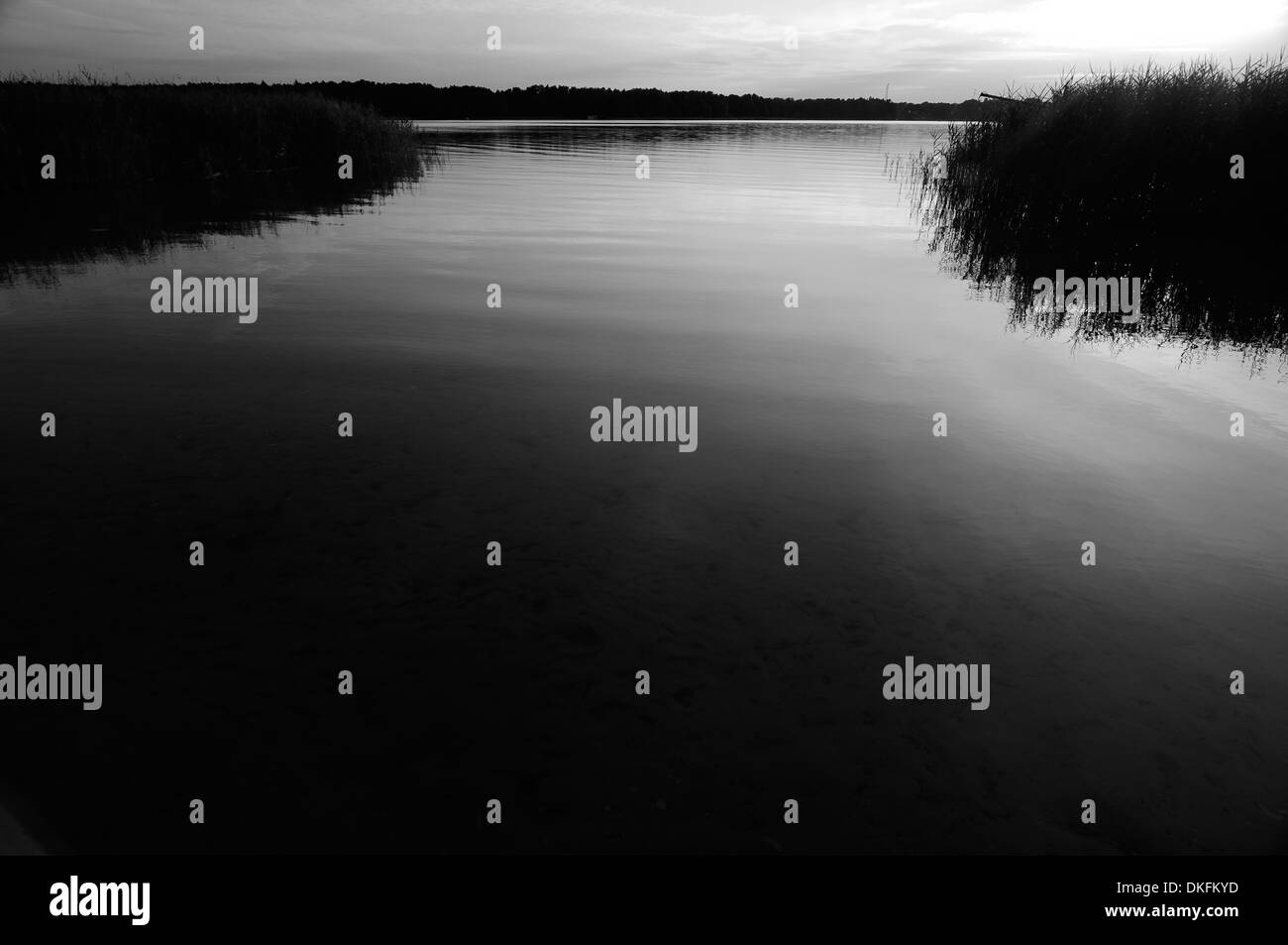 Storkower Lake dans l'humeur du soir, Brandebourg, Allemagne Banque D'Images