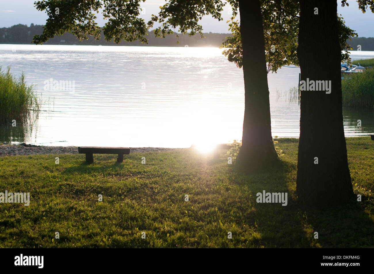 Lac Storkow, humeur du soir, coucher de soleil, Brandebourg, Allemagne Europe Banque D'Images