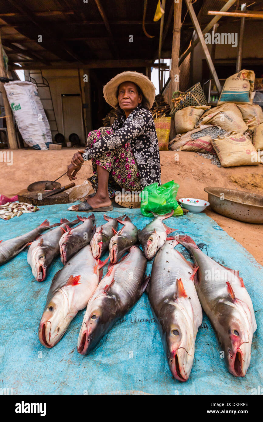 Une femme vente de poissons dans le village de Kompong Tralach sur la rivière Tonle Sap, la province de Kompong Chhnang, Cambodge Banque D'Images