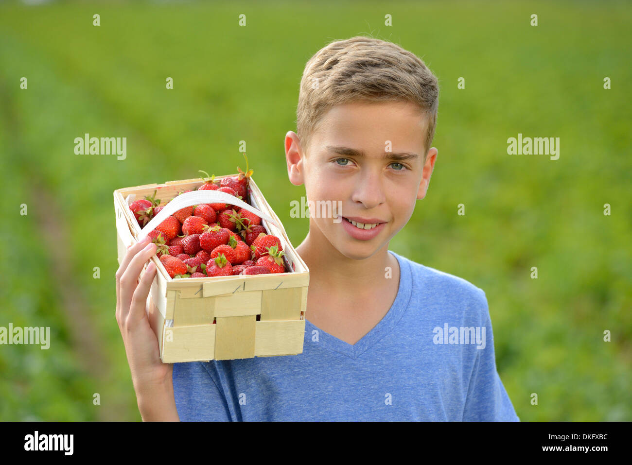 Teenage boy holding panier de fraises, portrait Banque D'Images