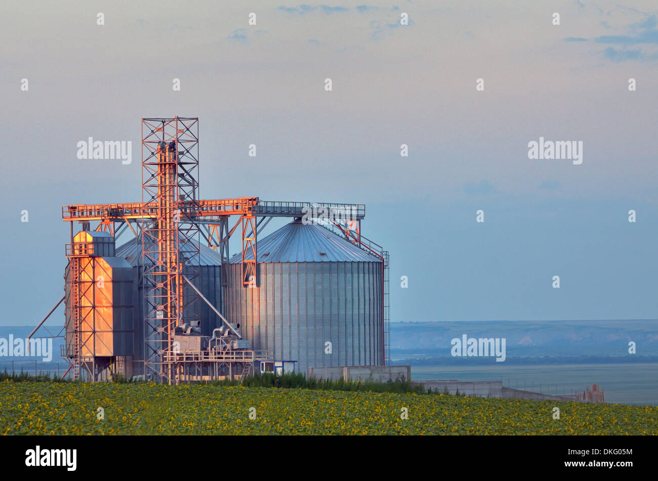 Silos de stockage de céréales Banque D'Images