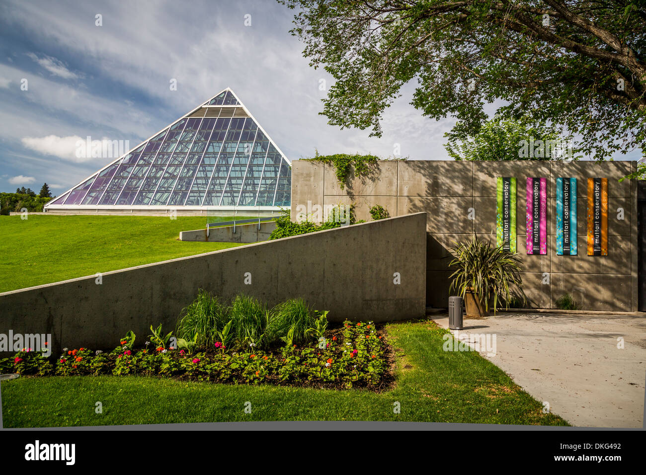 Le Muttart Conservatory pyramids et les toits de la ville d'Edmonton, Alberta, Canada. Banque D'Images