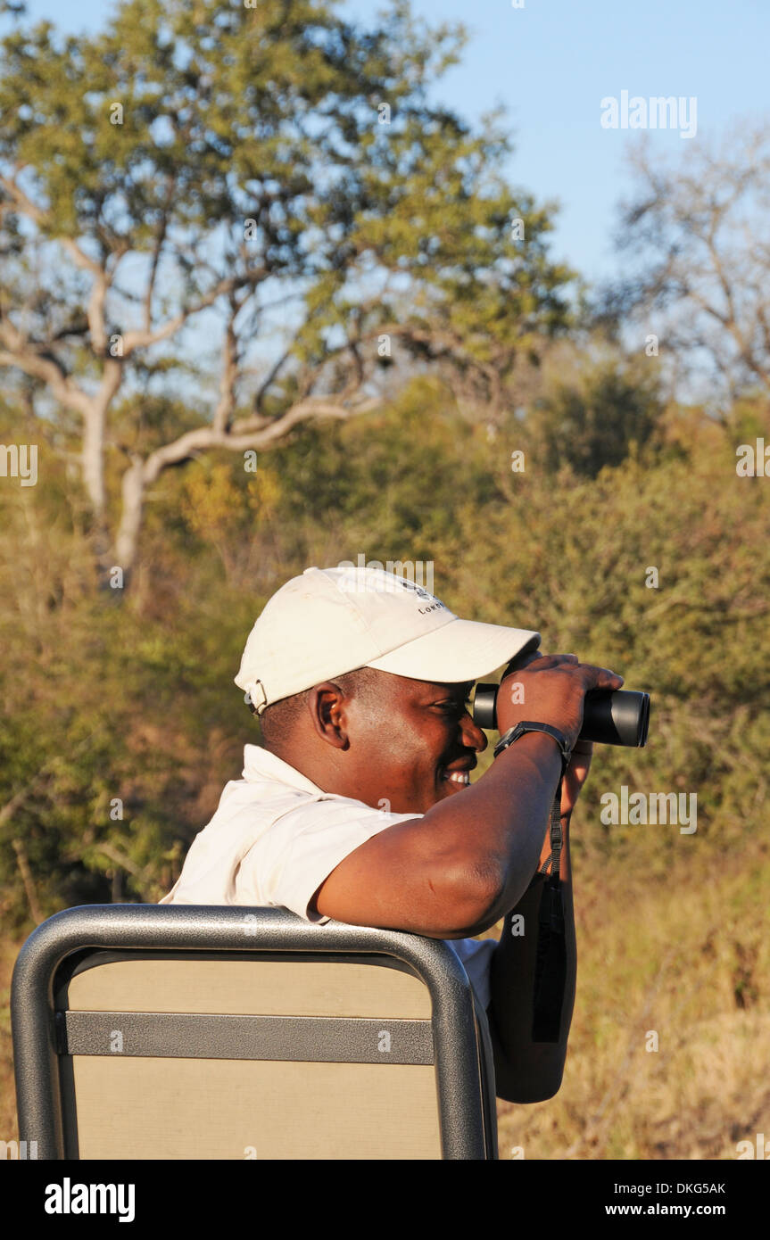 Commande de jeu, Sabi Sand Game Reserve, Afrique du Sud Banque D'Images