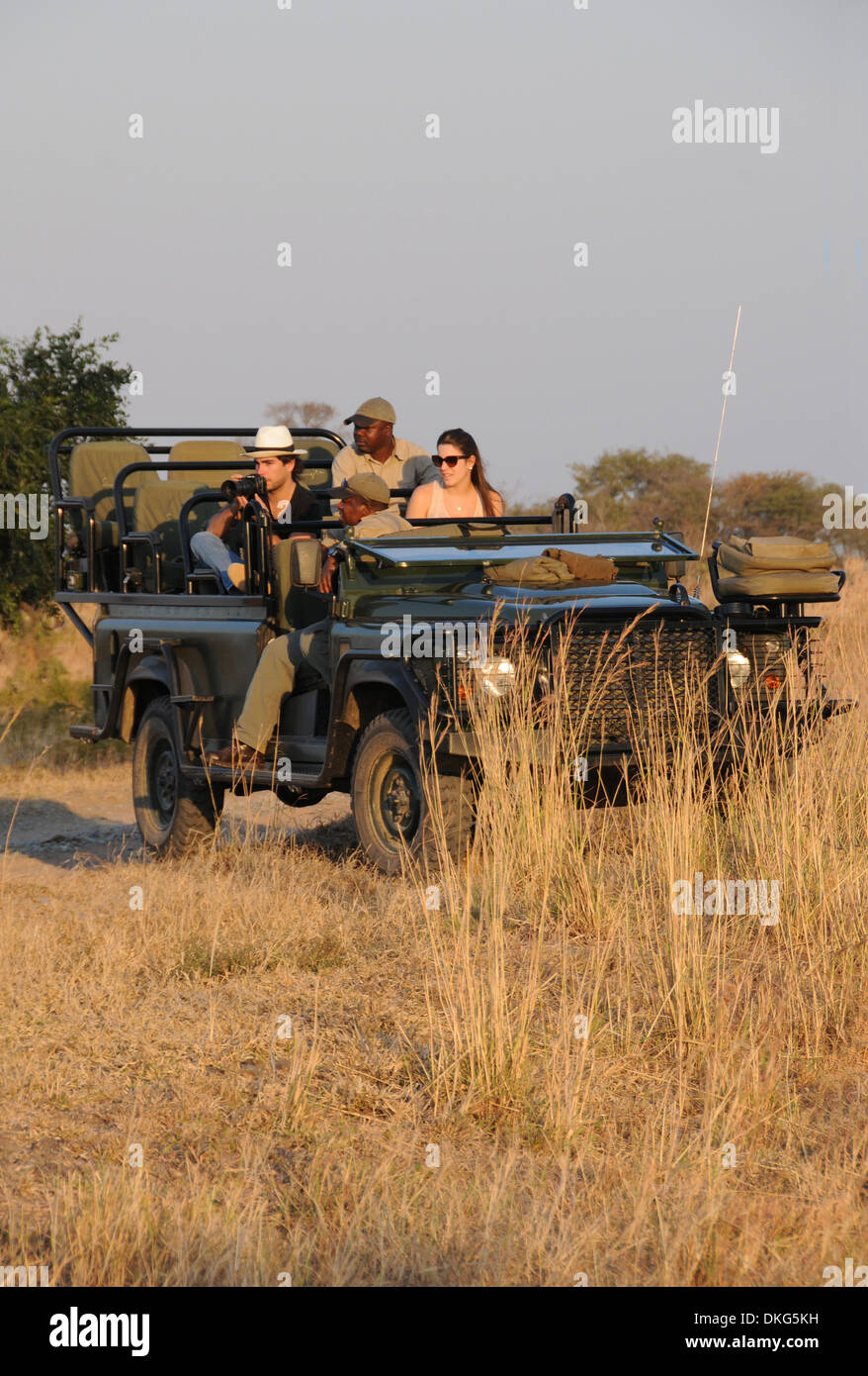 Commande de jeu, Sabi Sand Game Reserve, Afrique du Sud Banque D'Images