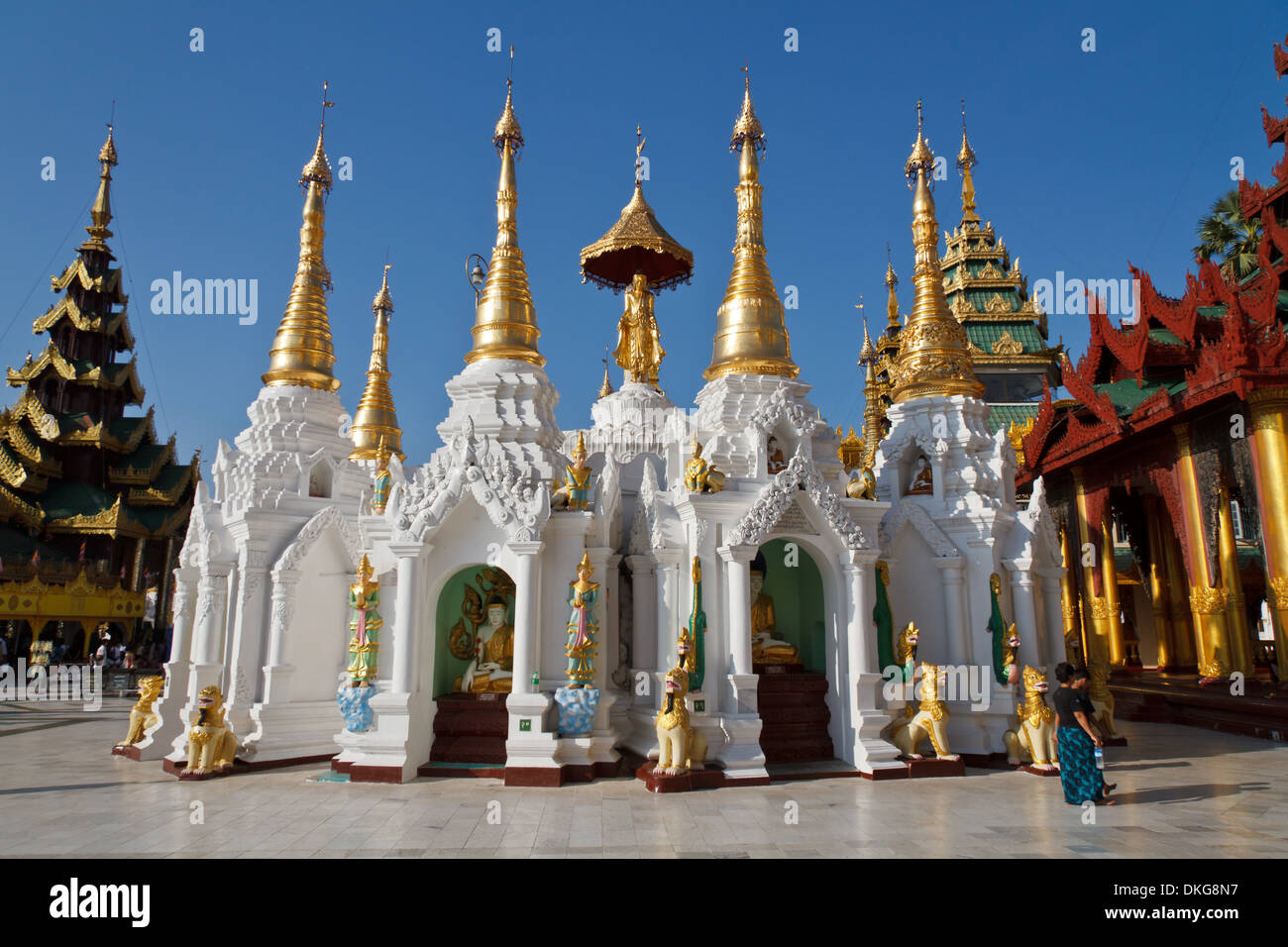 La pagode Shwedagon, Rangun, Myanmar, en Asie Banque D'Images