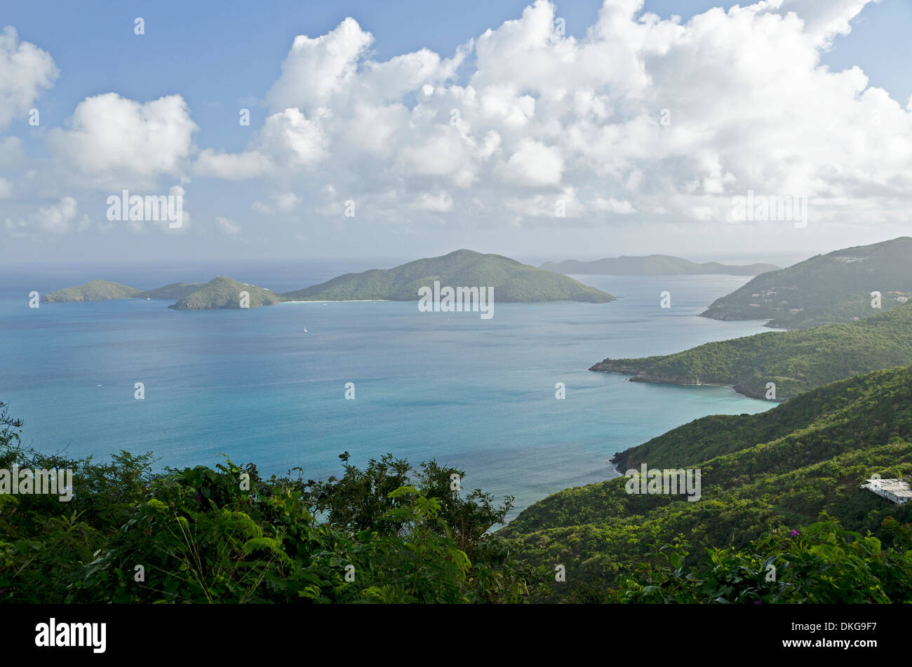 Guana Island, Petites Antilles, dans les Caraïbes, l'Amérique Banque D'Images