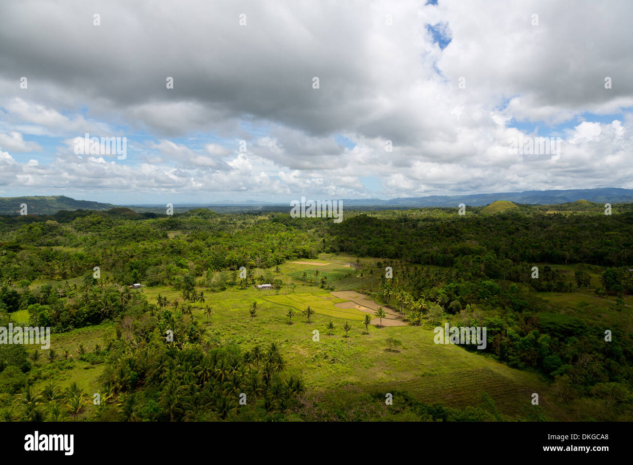 Paysage typique de Bohol, Philippines Banque D'Images