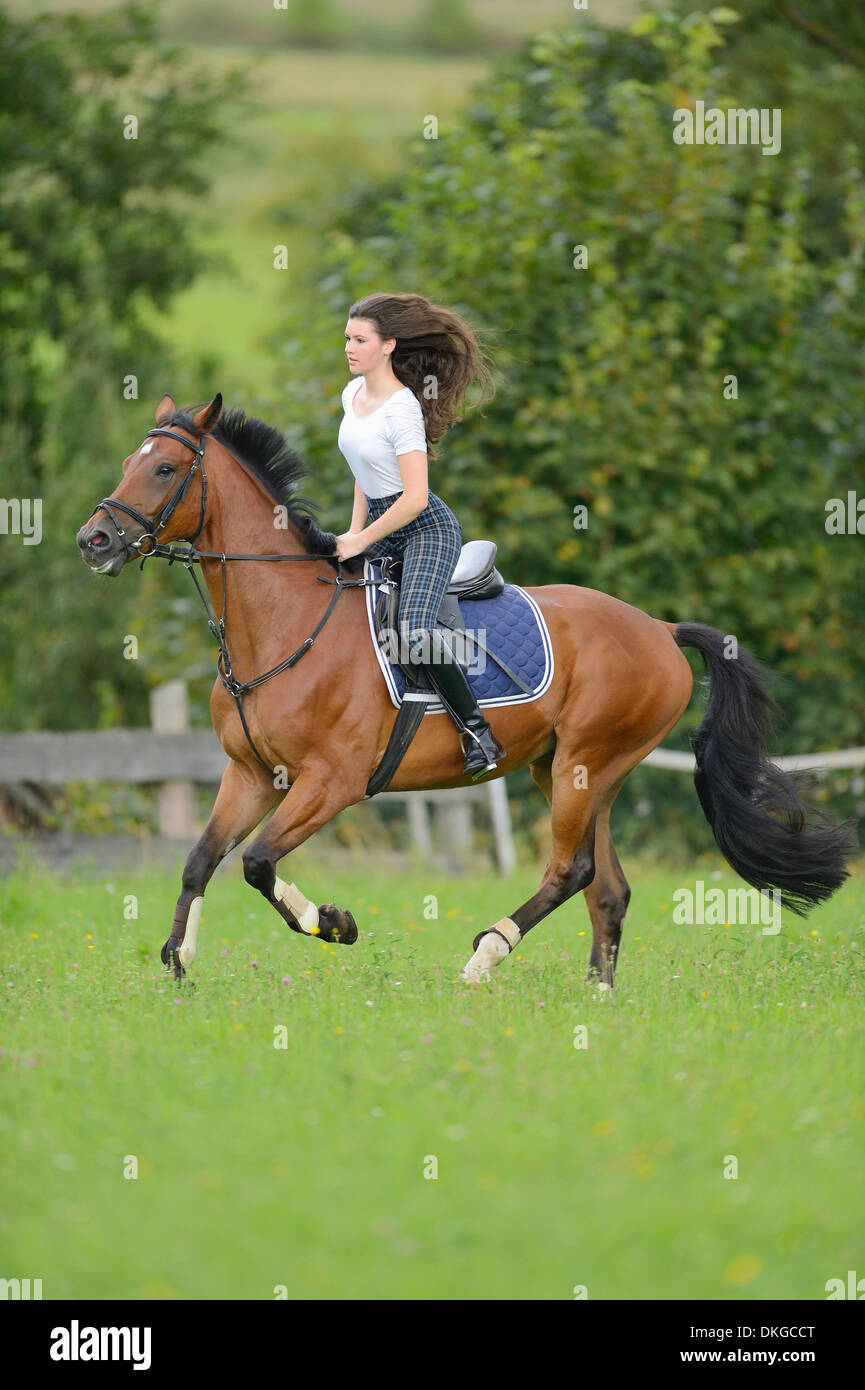 Teenage girl riding a horse Broderstorf sur un paddock Photo Stock - Alamy