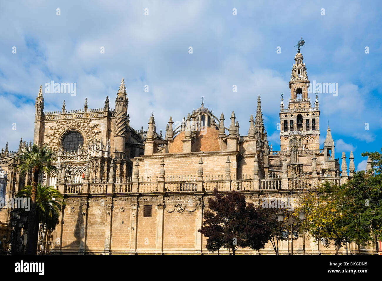 La cathédrale de la Giralda à Séville, Andalousie, Espagne Banque D'Images