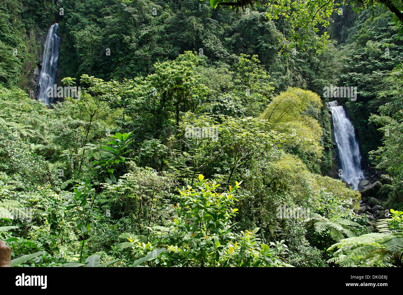 Trafalgarfalls, îles du Vent, Petites Antilles, Antilles, Caraïbes, Amérique Latine Banque D'Images