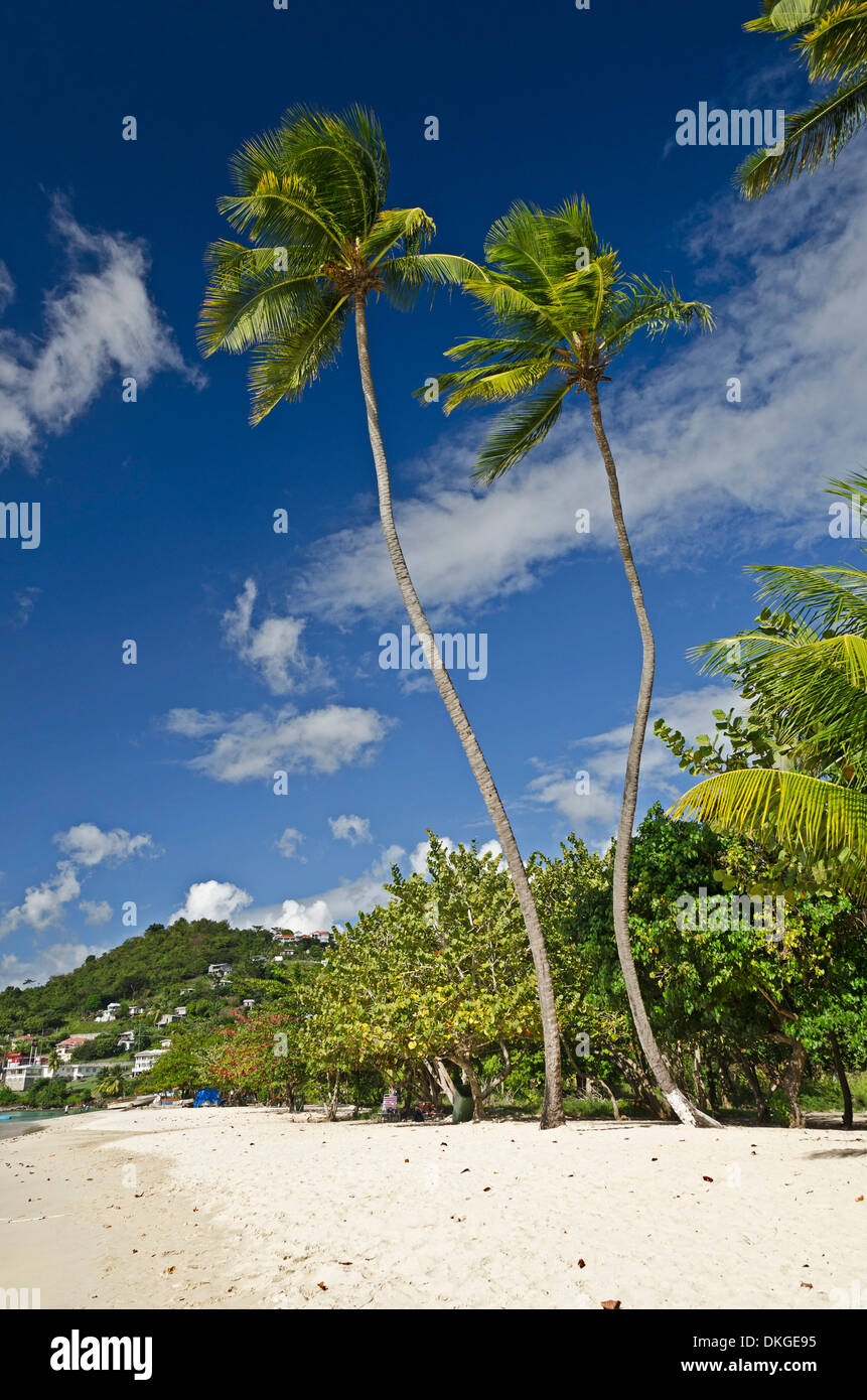 Plage de Grand'Anse, Grenade, Îles du Vent, Petites Antilles, Antilles, Caraïbes, Amérique Latine Banque D'Images