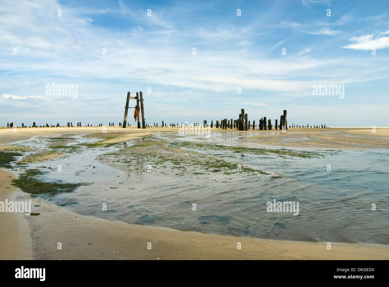 La mer des Wadden, Wangerroge, Basse-Saxe, Allemagne, Europe Banque D'Images