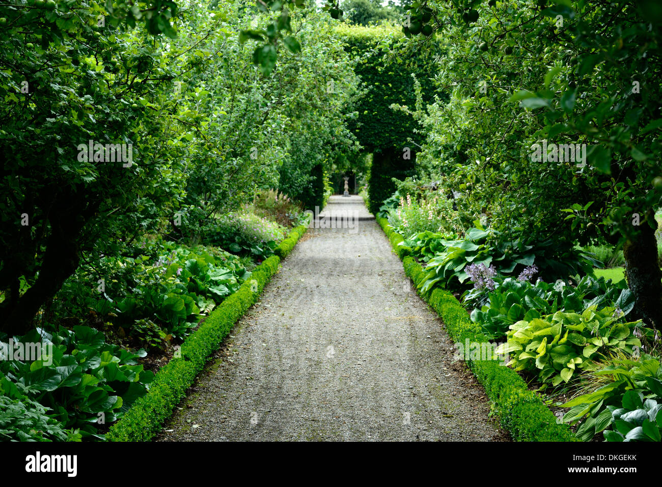 Lits mixtes mélange plantes ornementales potager muré frontières ballindoolin house plantation plante offaly scheme Banque D'Images