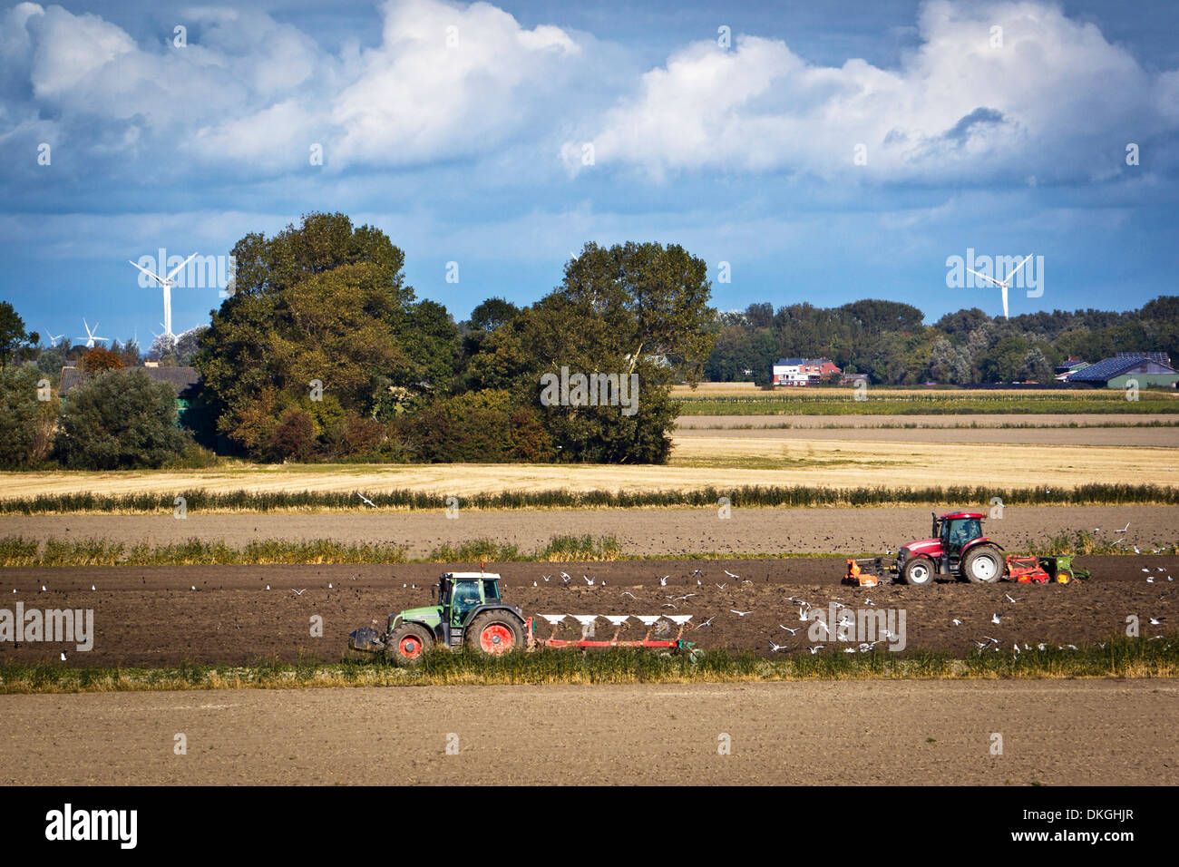Le tracteur sur champ, Nordstrand, Schleswig-Holstein, Allemagne, Europe Banque D'Images