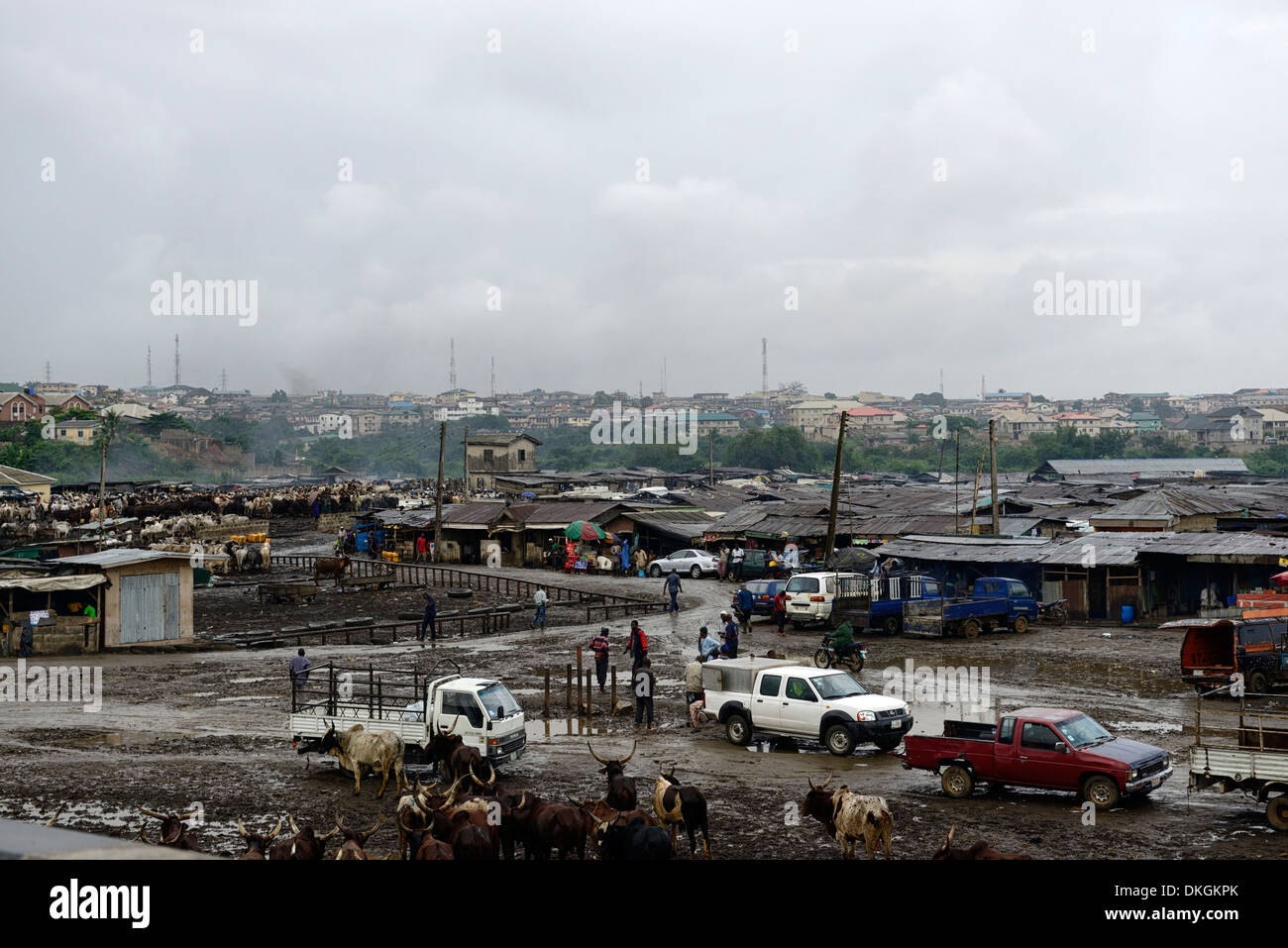 Marché de Lagos le commerce des produits bovins mart trading vente ventes primitive brut standard pauvres non hygiéniques Banque D'Images