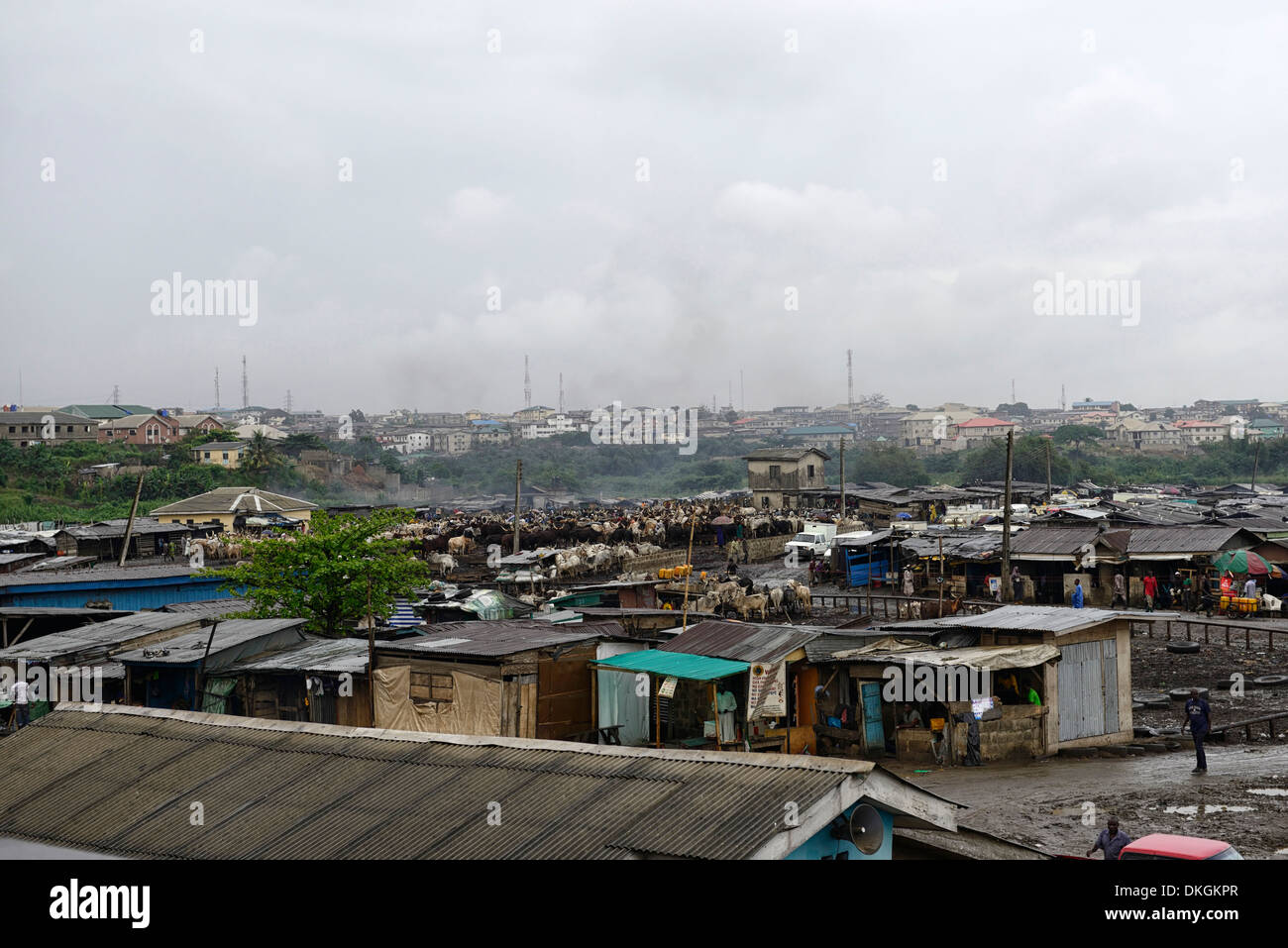 Bovins lagos marché plein air magasin de commerce des produits de trading vente ventes primitive brut standard pauvres non hygiéniques Banque D'Images