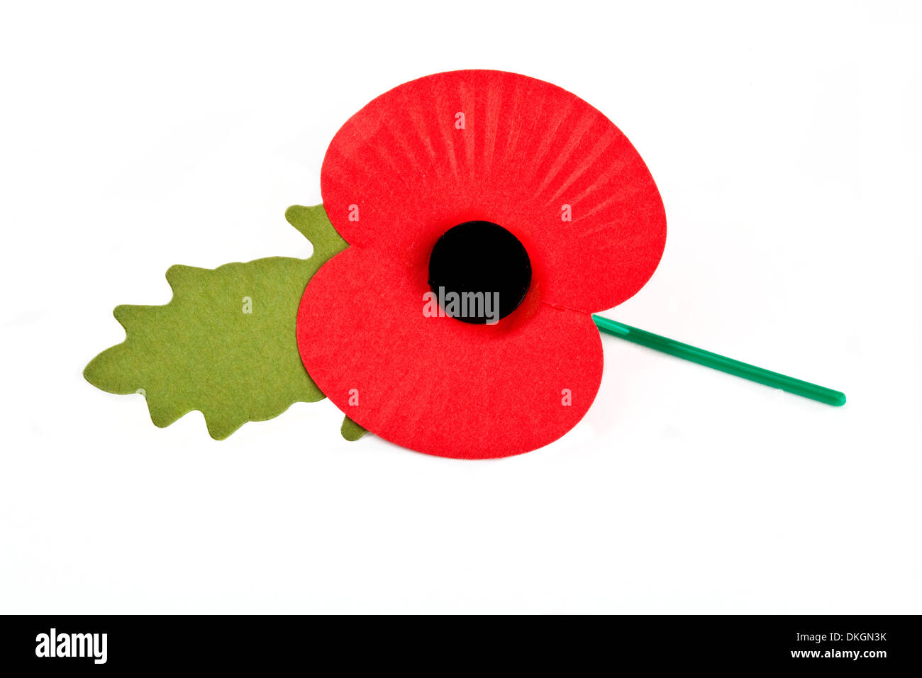 Poppy pour commémorer la guerre du Commonwealth morts pendant les deux guerres mondiales. Banque D'Images