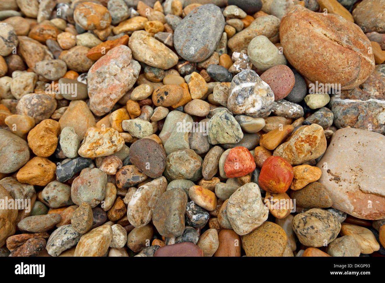 Collection de divers cailloux colorés trouvés sur la plage et par ocean Banque D'Images