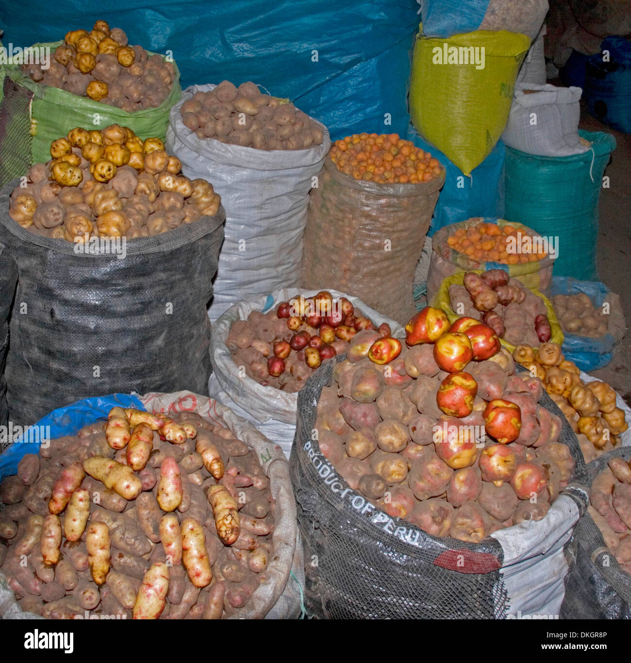 Des sacs de pommes de terre de variétés colorées et inhabituelles sur la vente au marché de fruits et légumes dans des Andes, ville d'Ayacucho au Pérou Banque D'Images