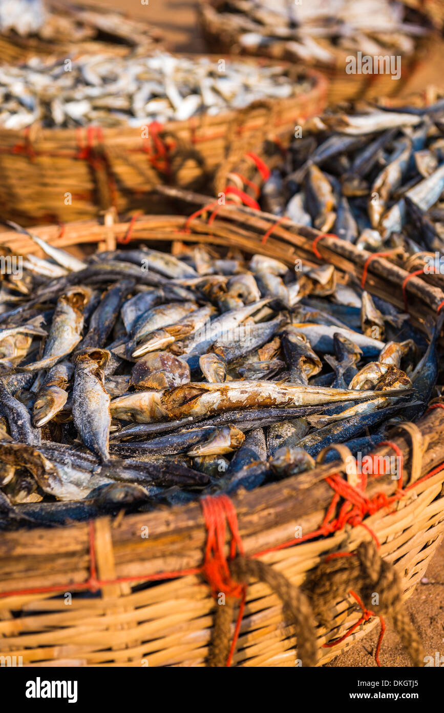 Negombo fish market lellama fish market Banque de photographies et d