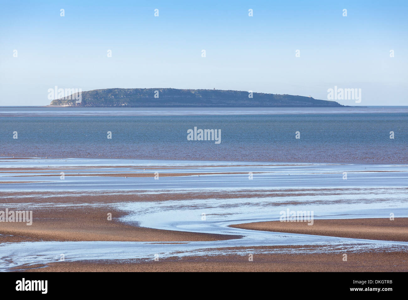 L'île de macareux, Anglesey, Pays de Galles, Royaume-Uni, Europe Banque D'Images